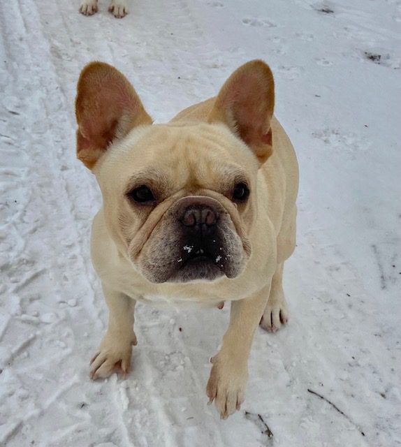 image3Caroline mach 26