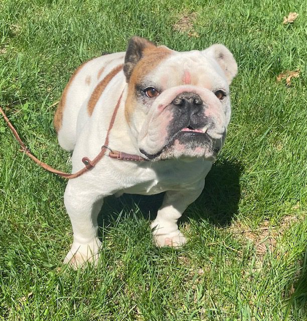 image13Holly April 2026