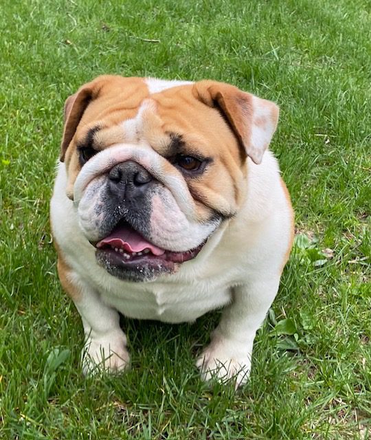 image14Posey April 2026