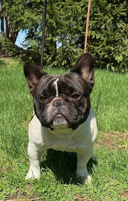 image16Jack April 2026