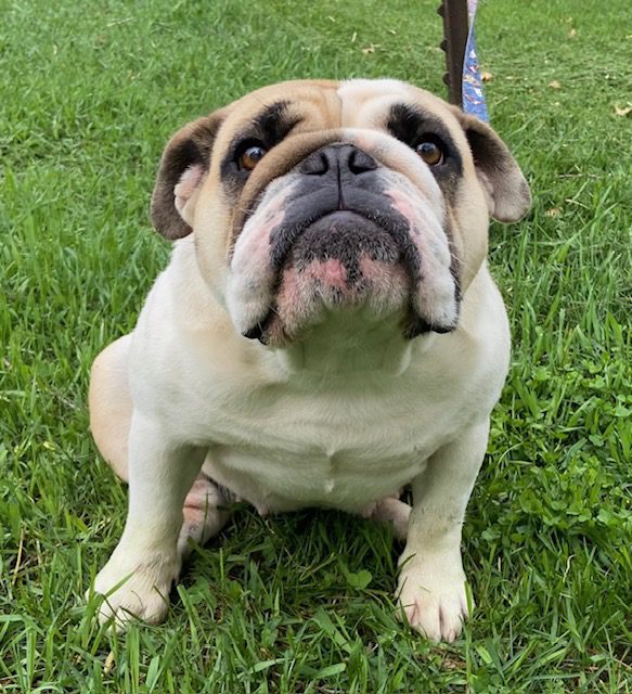 image8Halsey April 2026