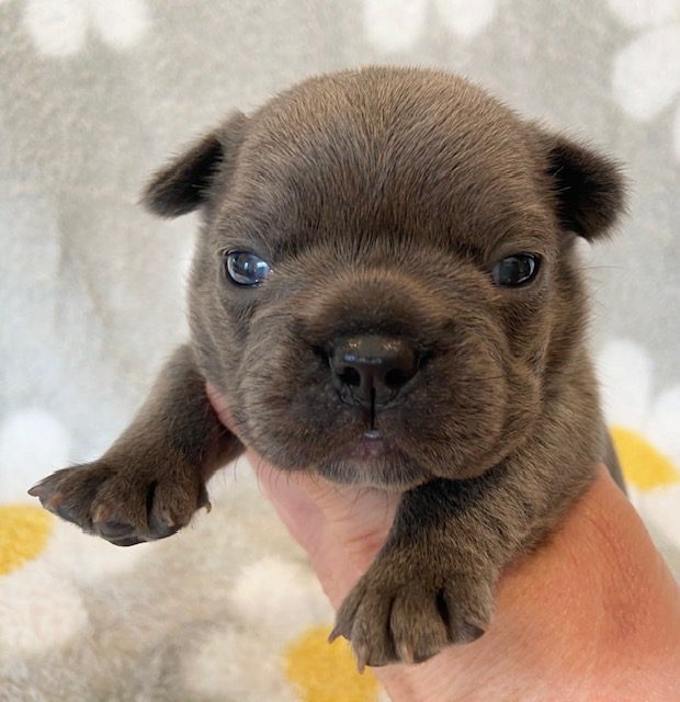 image11Kozy @ 16 days