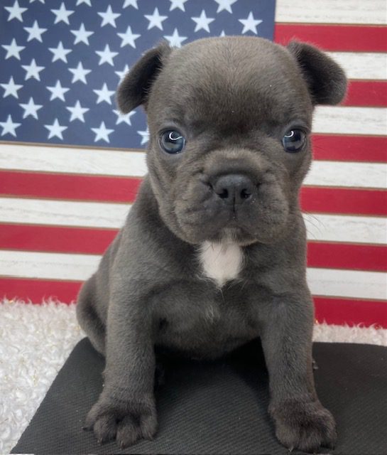 image15Kozy @ 4 wks 3 days