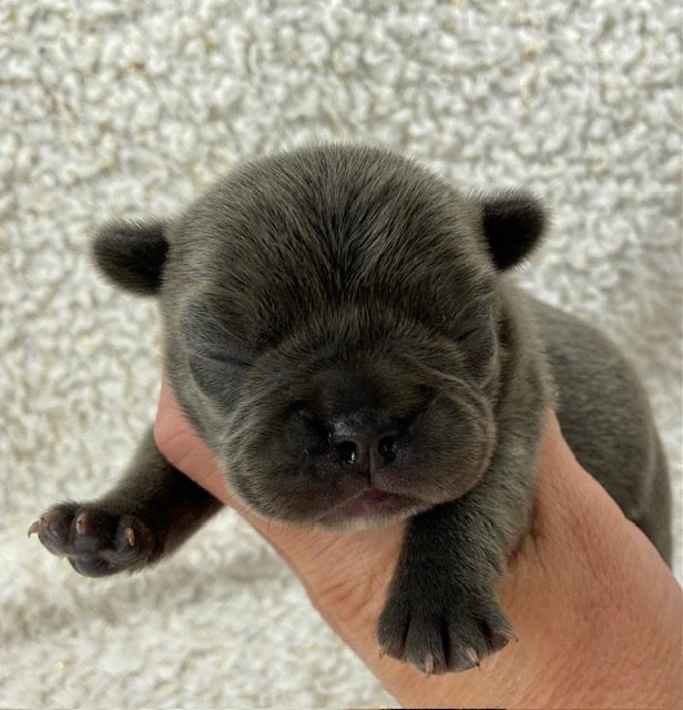 image3Kozy @ 6 days