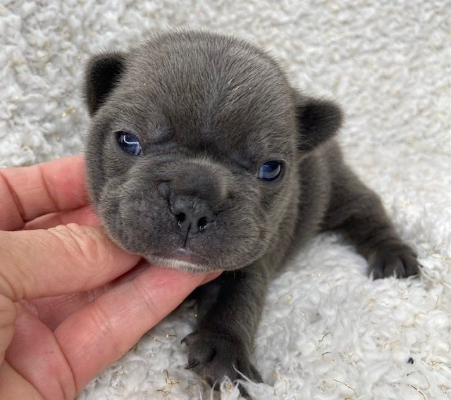 image3Bennie @ 15 days