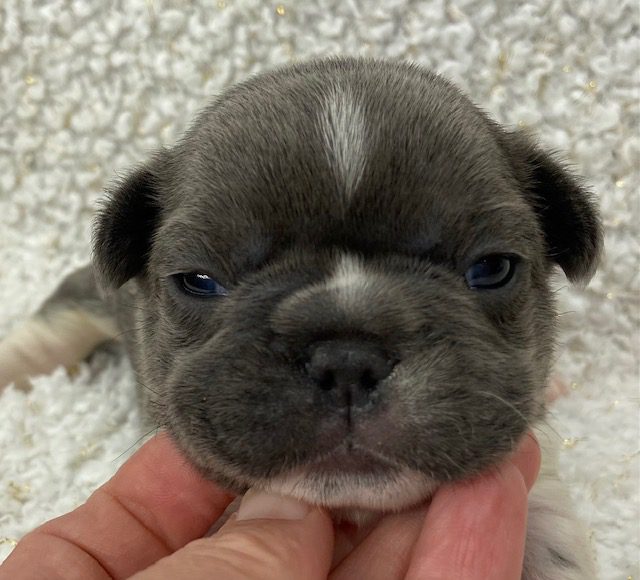 image5Bernie @ 15 days