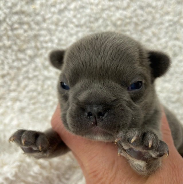 image8Boone @ 15 days