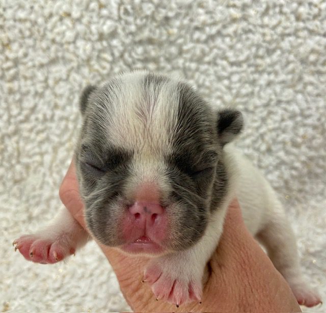 image9Kaleb @ 6 days