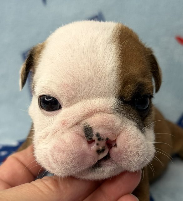 image8Earl @ 3 wks 4 days